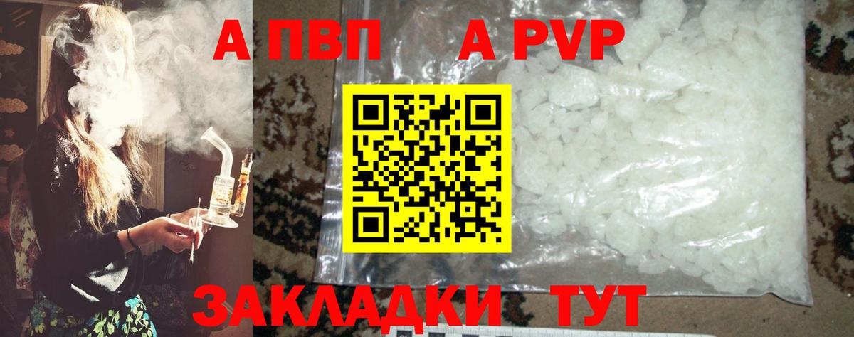 Alfa_PVP СК КРИС Ейск
