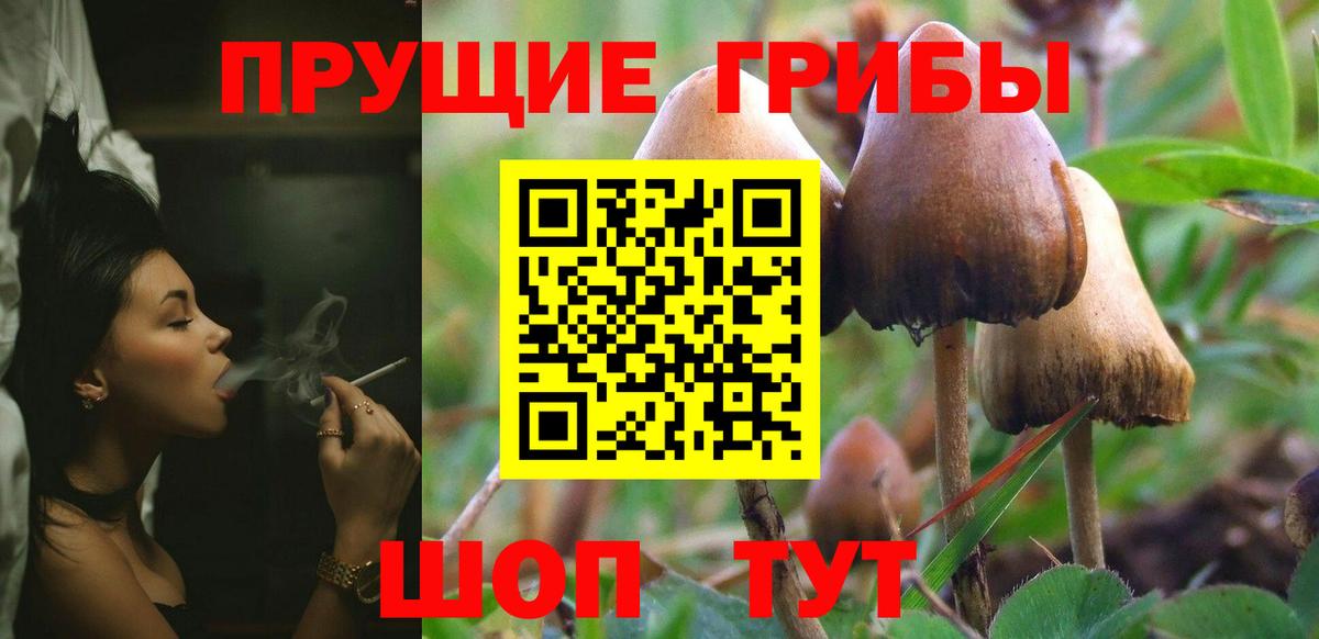 Ейск  Псилоцибиновые грибы Magic Shrooms  Вход с VPN 
